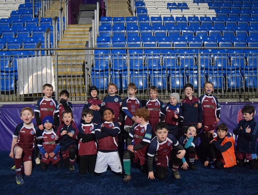 Stillorgan-Rathfarnham RFC - Minis Rugby