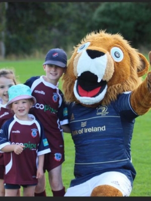 Stillorgan-Rathfarnham RFC - Minis Rugby